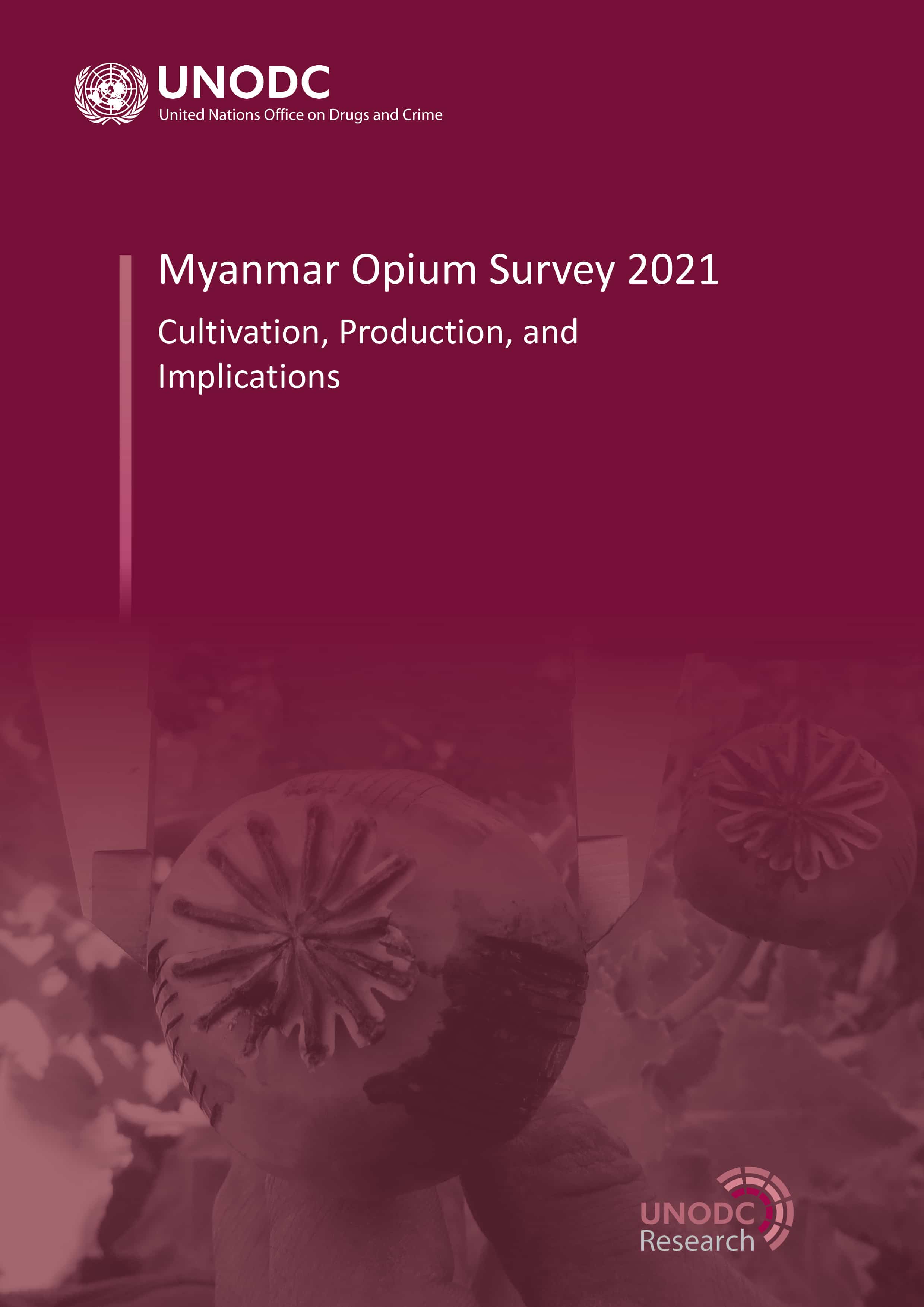 Click here to download the full report