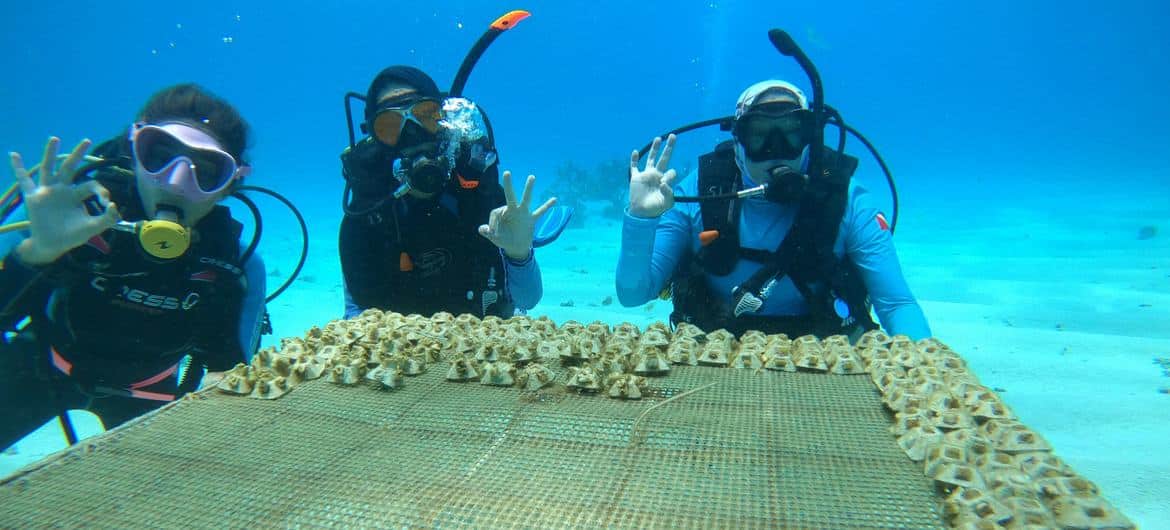 Blue Indigo women biologists pose with a coral table-type nursery in San Andres, Colombia.