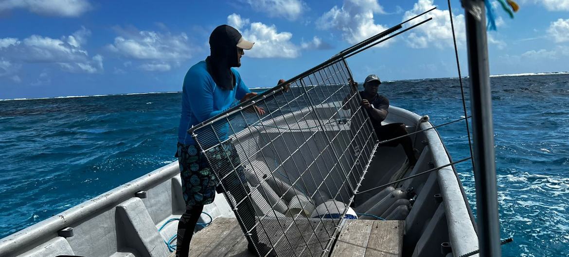 The Raizal community is actively involve in coral reef restoration efforts. Here two men are ready to install a table-type coral nursery.