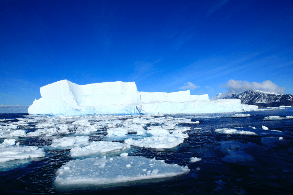 The Human Fingerprint on Greenhouse Gases